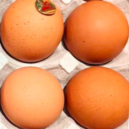 ☆詩の屋お店の玉子（６個入り）｜札幌市白石区でベイクドポークのテイクアウト・デリバリーなら詩の屋
